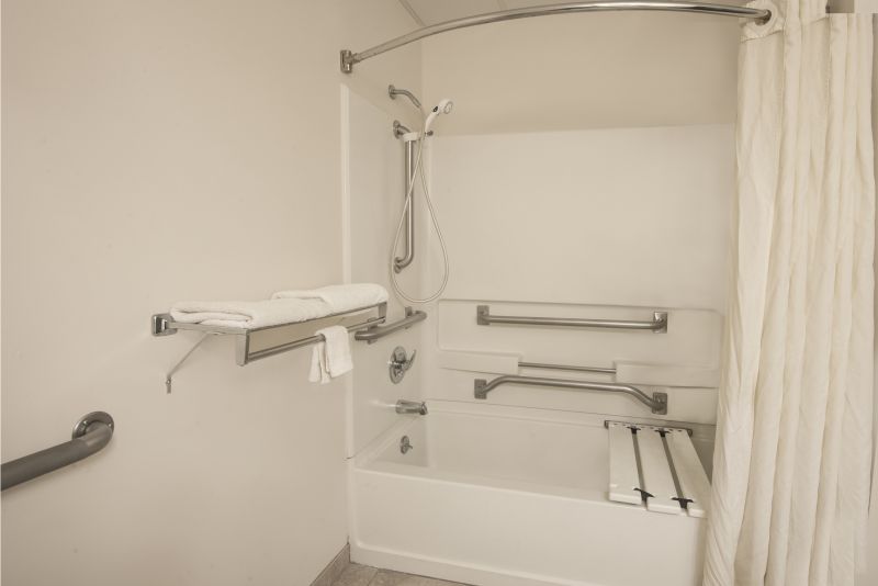 Accessible Bathroom Setup